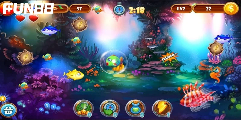 da dang cac loai ca cho ban tu do ngam ban Đa dạng các loài cá cho bạn tự do ngắm bắn